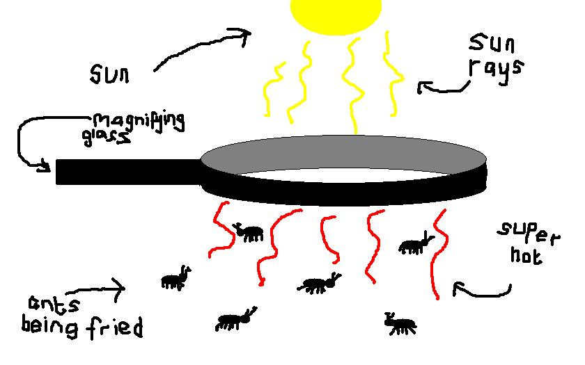 [Image: how-to-fry-ants.jpg]